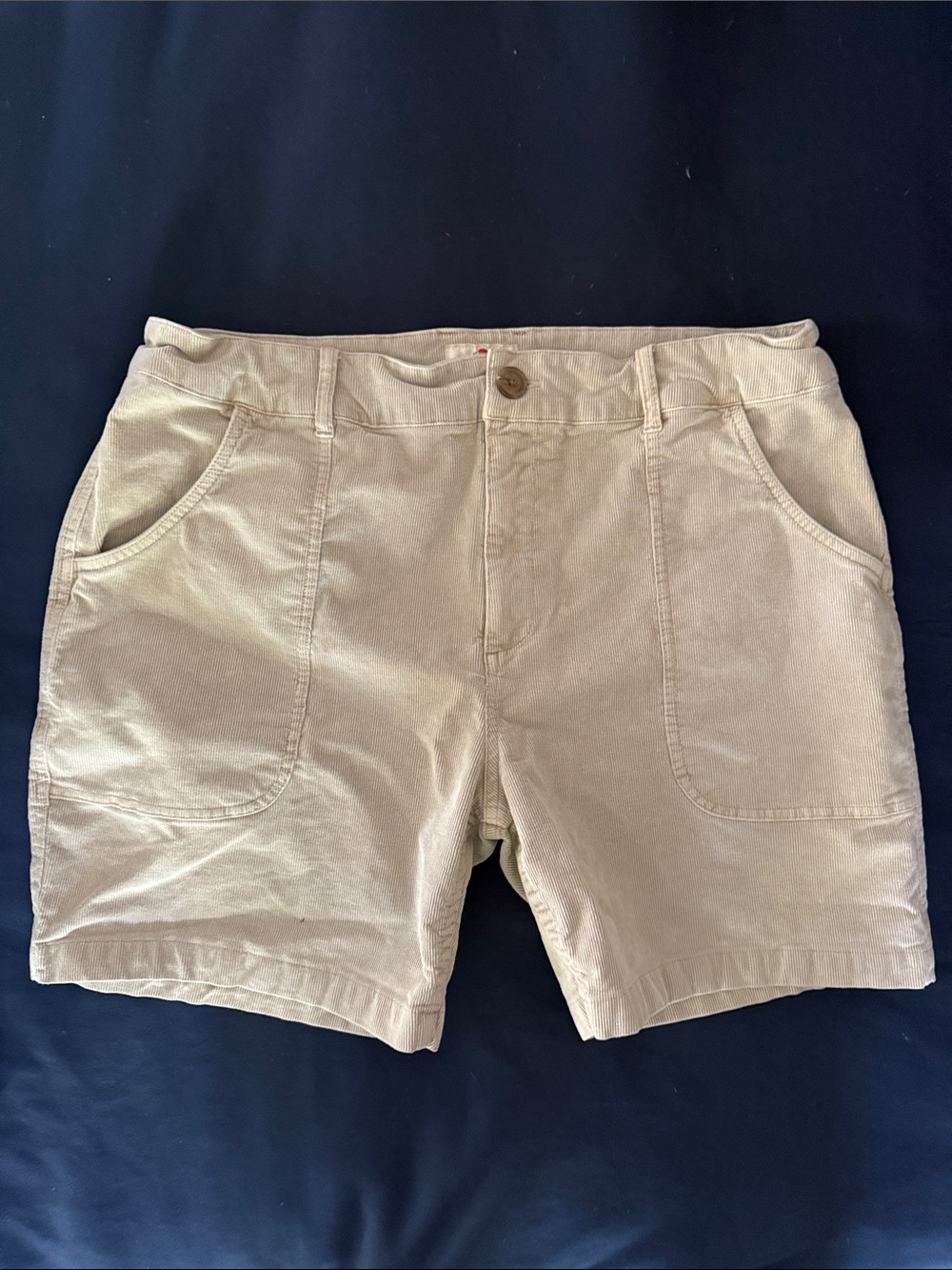 Marine Layer Men’s Beige Flat-Front Shorts